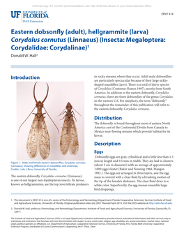 Eastern Dobsonfly (Adult), Hellgrammite (Larva) Corydalus Cornutus (Linnaeus) (Insecta: Megaloptera: Corydalidae: Corydalinae)1 Donald W