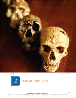 Chapter 2. Human Evolution