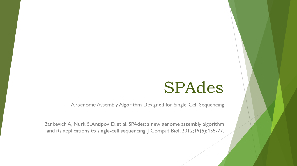 Spades a Genome Assembly Algorithm Designed for SingleCell Sequencing DocsLib