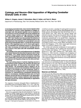 Cytology and Neuron-Glial Apposition of Migrating Cerebellar Granule Cells in Vitro