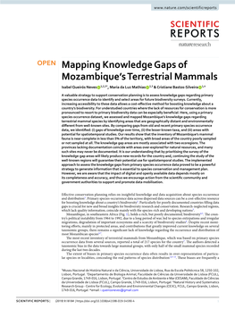 Mapping Knowledge Gaps of Mozambique's Terrestrial Mammals