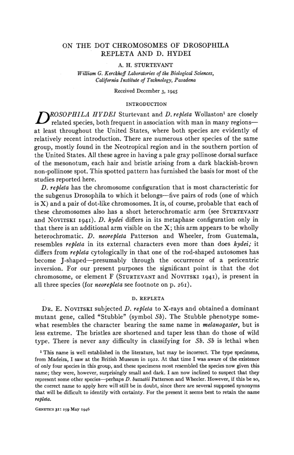 On the Dot Chromosomes of Drosophila Repleta and D