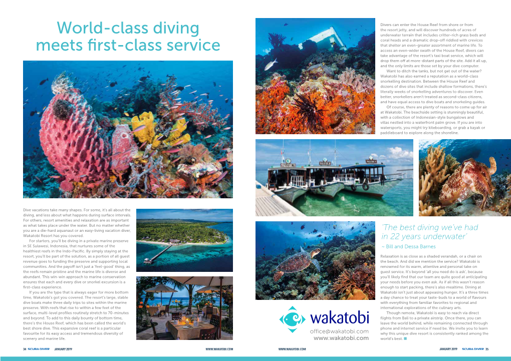 World-Class Diving Meets First-Class Service