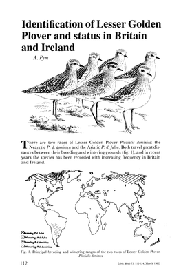 Identification of Lesser Golden Plover and Status in Britain and Ireland ^