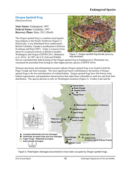 Oregon Spotted Frog Fact Sheet