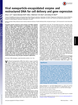 Viral Nanoparticle-Encapsidated Enzyme and Restructured DNA for Cell Delivery and Gene Expression