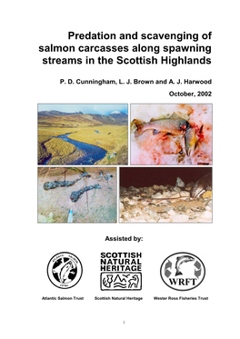 Predation and Scavenging of Salmon Carcasses Along Spawning Streams in the Scottish Highlands