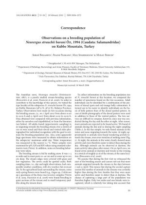 Observations on a Breeding Population of Neurergus Strauchii Barani Öz, 1994 (Caudata: Salamandridae) on Kubbe Mountain, Turkey