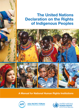 The United Nations Declaration on the Rights of Indigenous Peoples