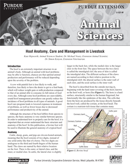 ID-321-W Hoof Anatomy, Care and Management in Livestock PURDUE EXTENSION
