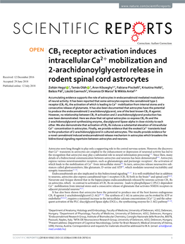 CB1 Receptor Activation Induces Intracellular Ca2+ Mobilization And