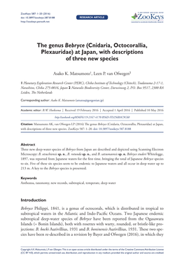 The Genus Bebryce (Cnidaria, Octocorallia, Plexauridae) at Japan, with Descriptions of Three New Species