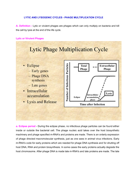 Lytic and Lysogenic Cycles - Phage Multiplication Cycle