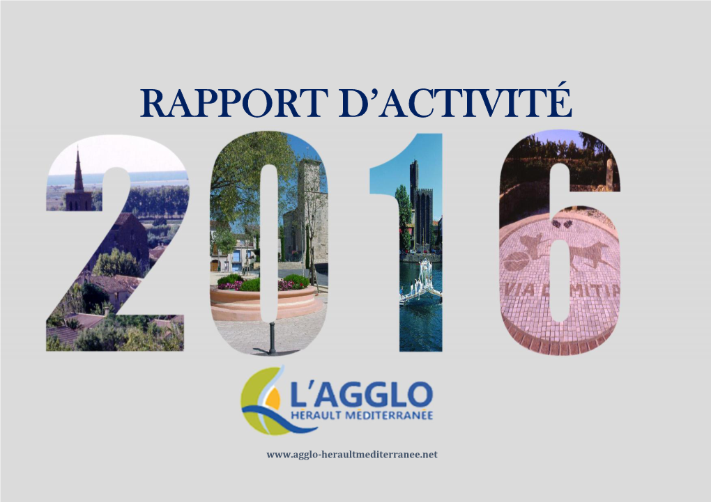 Rapport D'activité 2016