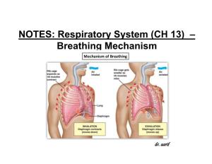 NOTES: Respiratory System (CH 13) – Breathing Mechanism *Changes in the Size of the Thoracic Cavity Accompany INSPIRATION and EXPIRATION