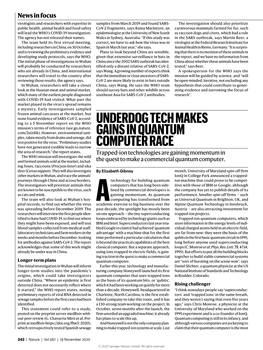 Underdog Tech Makes Gains in Quantum Computer Race