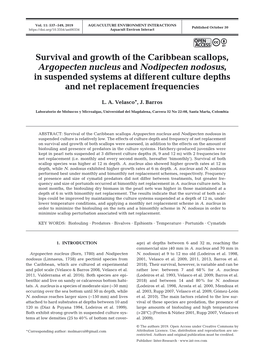 Survival and Growth of the Caribbean Scallops, Argopecten Nucleus And