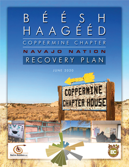 Coppermine-Recovery-Plan-Final.Pdf