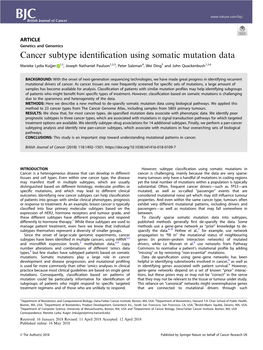 Cancer Subtype Identification Using Somatic Mutation Data