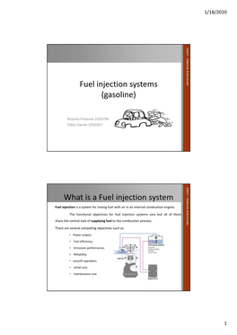 Fuel Injection Systems (Gasoline)