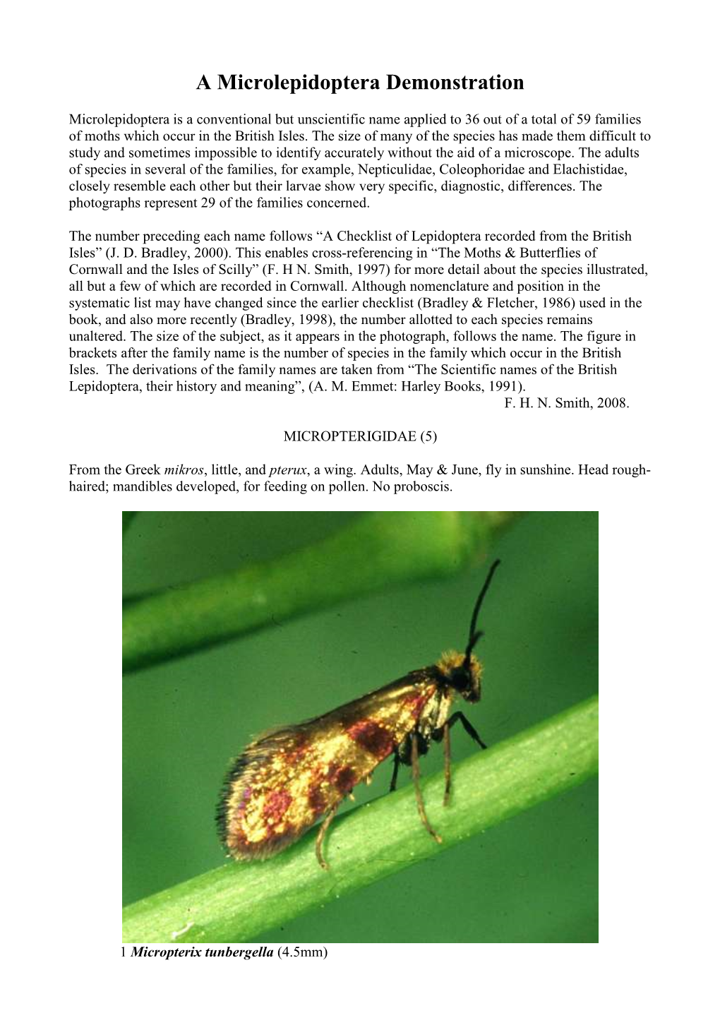 A Microlepidoptera Demonstration