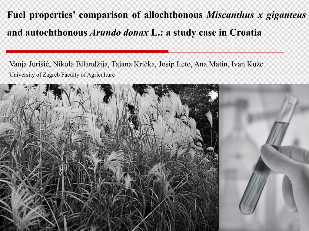 Fuel Properties' Comparison of Allochthonous Miscanthus X