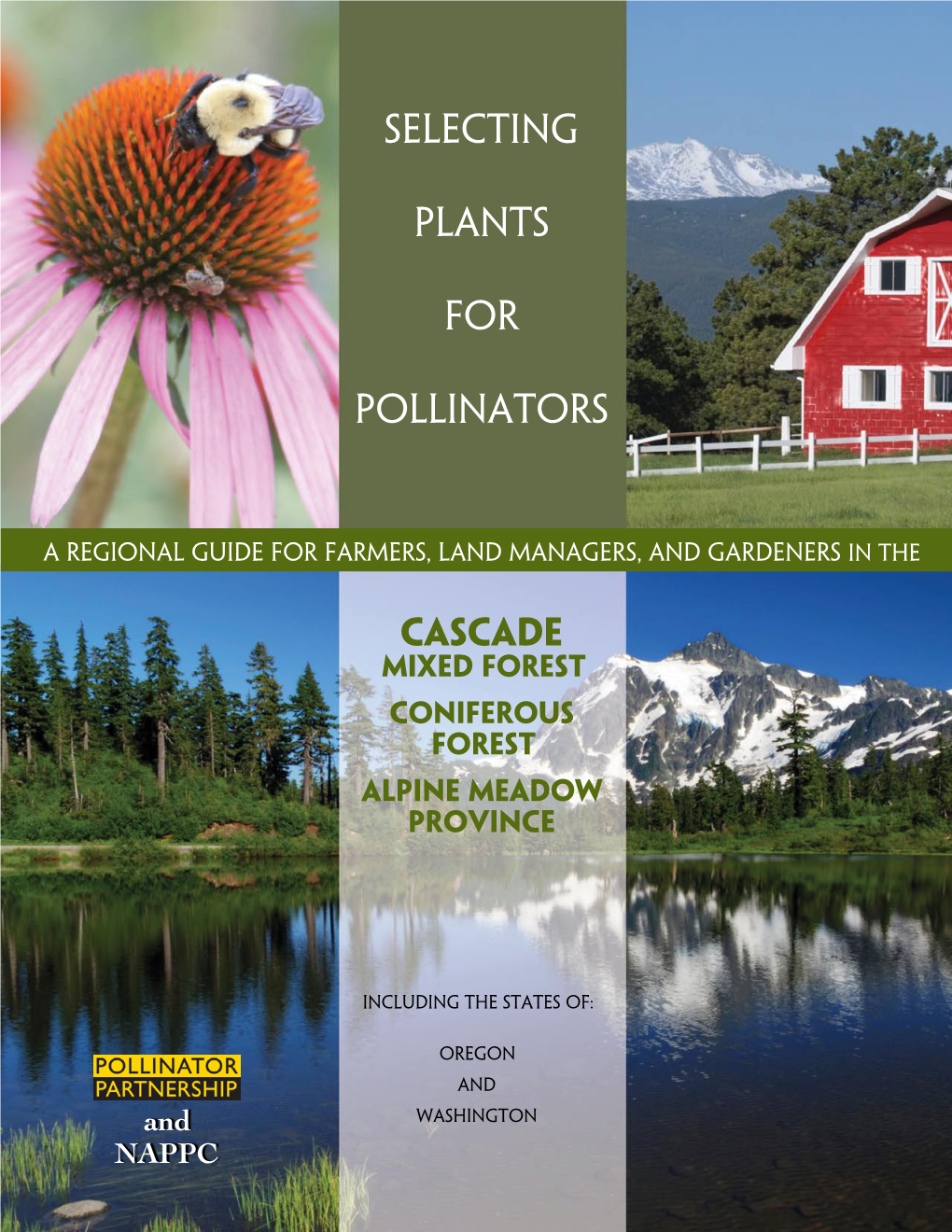 Pollinators Handbook