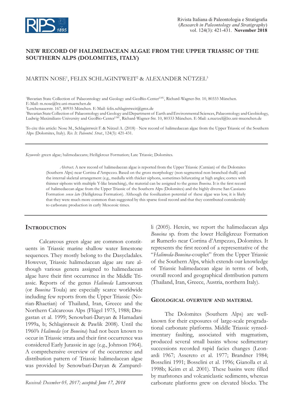 New Record of Halimedacean Algae from the Upper Triassic of the Southern Alps (Dolomites, Italy)