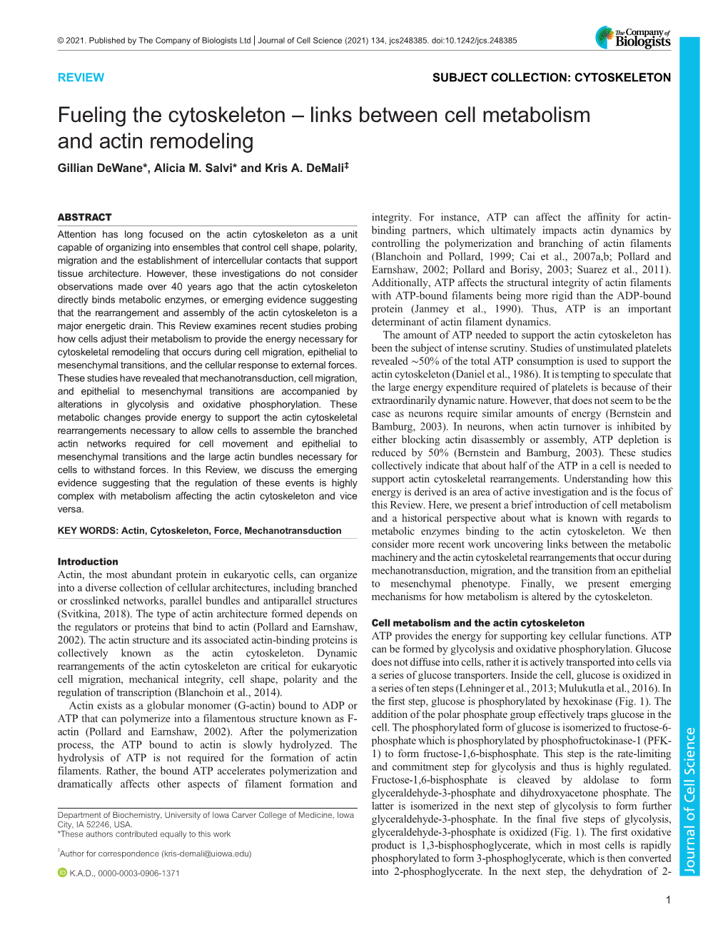 Fueling the Cytoskeleton – Links Between Cell Metabolism and Actin Remodeling Gillian Dewane*, Alicia M