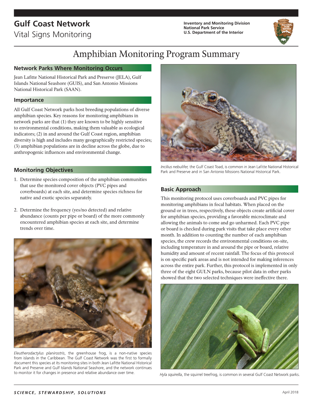 Amphibian Monitoring Program Summary