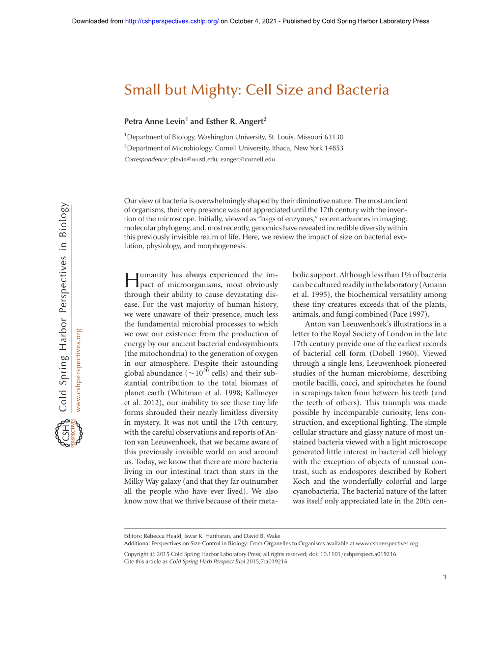 Small but Mighty: Cell Size and Bacteria