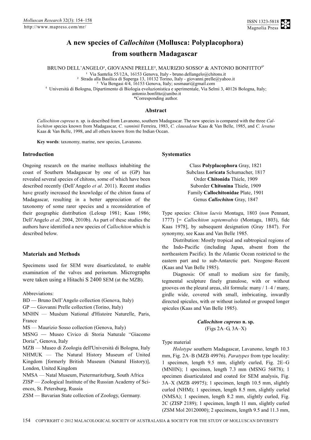 A New Species of Callochiton (Mollusca: Polyplacophora) from Southern Madagascar