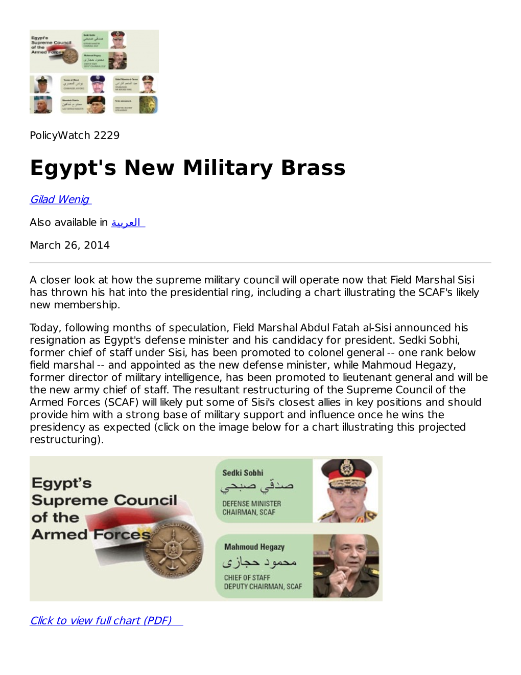 Egypt's New Military Brass