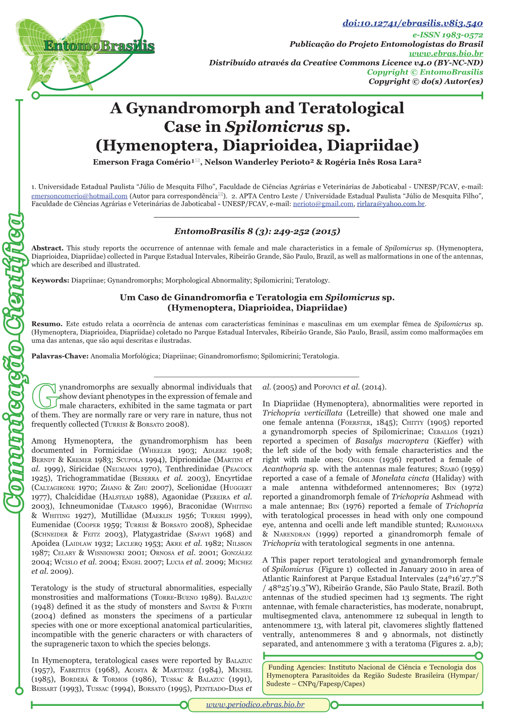 A Gynandromorph and Teratological Case in Spilomicrus Sp