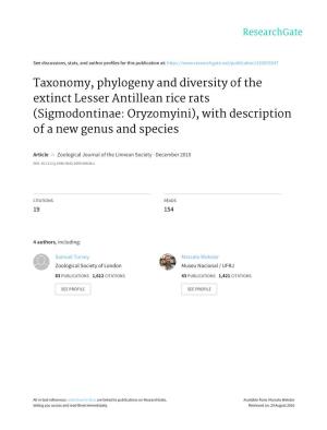Taxonomy, Phylogeny and Diversity of the Extinct Lesser Antillean Rice Rats (Sigmodontinae: Oryzomyini), with Description of a New Genus and Species