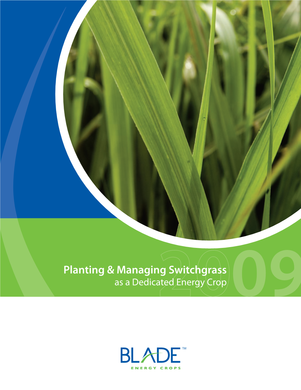 Planting & Managing Switchgrass