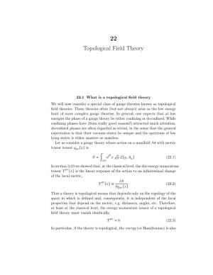 22 Topological Field Theory