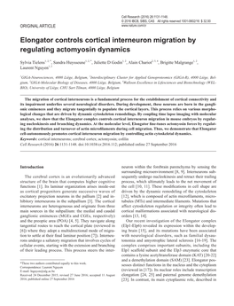 Elongator Controls Cortical Interneuron Migration by Regulating Actomyosin Dynamics