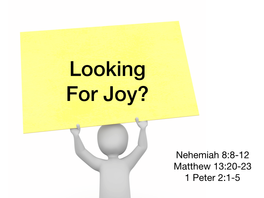 Looking for Joy?- Nehemiah 8, Matthew 13, and 1 Peter 2
