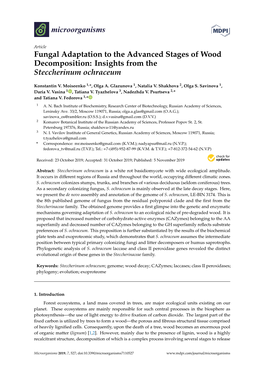 Fungal Adaptation to the Advanced Stages of Wood Decomposition: Insights from the Steccherinum Ochraceum