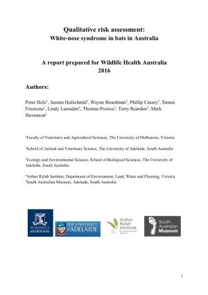 Qualitative Risk Assessment: White-Nose Syndrome in Bats in Australia