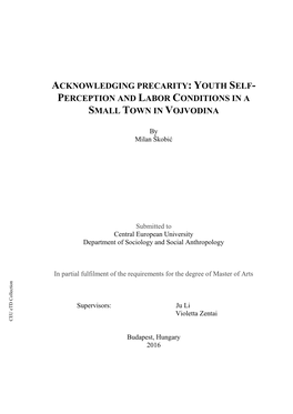 Acknowledging Precarity: Youth Self- Perception and Labor Conditions in a Small Town in Vojvodina