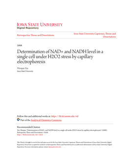 Determination of NAD+ and NADH Level in a Single Cell Under H2O2 Stress by Capillary Electrophoresis Wenjun Xie Iowa State University