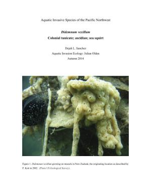 Aquatic Invasive Species of the Pacific Northwest Didemnum Vexillum
