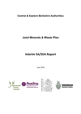 Interim SA/SEA Report
