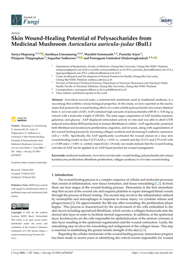 Skin Wound-Healing Potential of Polysaccharides from Medicinal Mushroom Auricularia Auricula-Judae (Bull.)