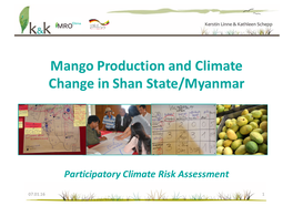 Mango Production and Climate Change in Shan State/Myanmar