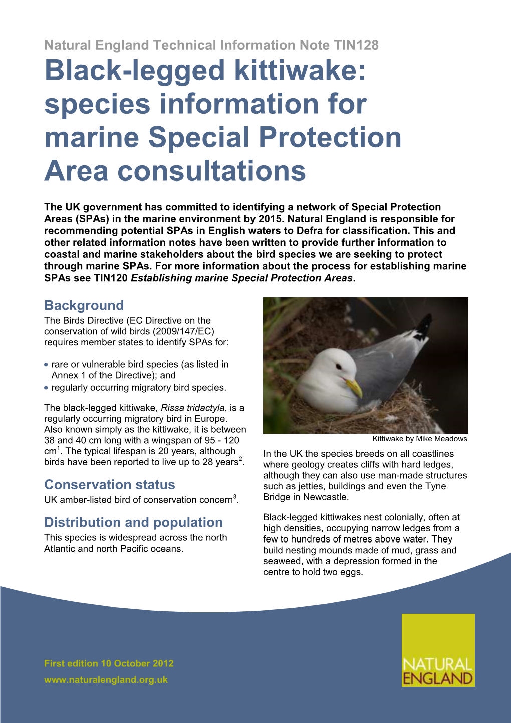 Black-Legged Kittiwake: Species Information for Marine Special Protection Area Consultations