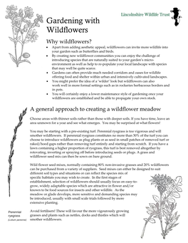 Gardening with Wildflowers