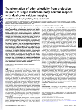 Transformation of Odor Selectivity from Projection Neurons to Single Mushroom Body Neurons Mapped with Dual-Color Calcium Imaging